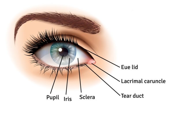 Tear Duct Problems Tear Duct Surgery